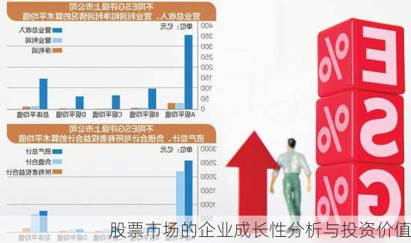 股票市场的企业成长性分析与投资价值