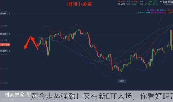 黄金走势强劲！又有新ETF入场，你看好吗？