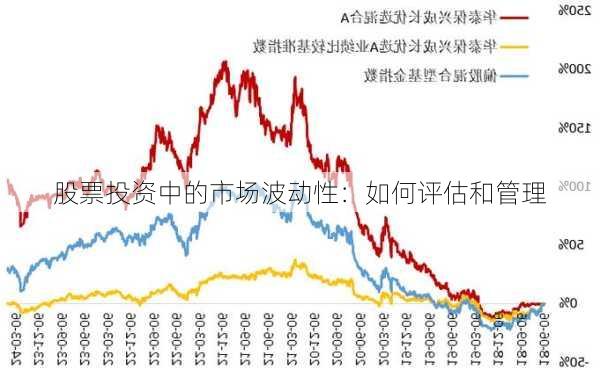 股票投资中的市场波动性：如何评估和管理