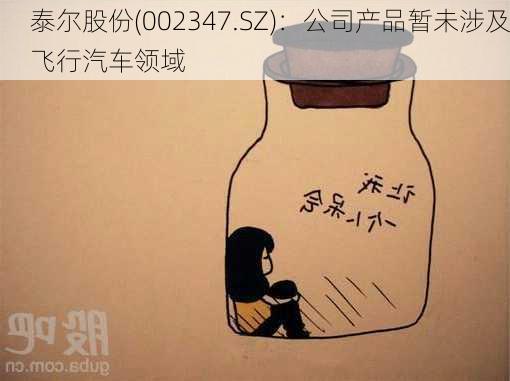 泰尔股份(002347.SZ)：公司产品暂未涉及飞行汽车领域