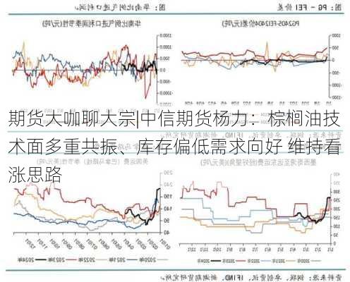 期货大咖聊大宗|中信期货杨力：棕榈油技术面多重共振、库存偏低需求向好 维持看涨思路