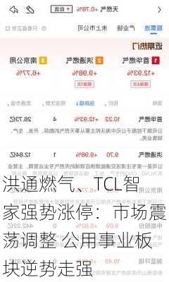 洪通燃气、TCL智家强势涨停：市场震荡调整 公用事业板块逆势走强