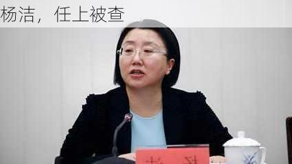 杨洁，任上被查