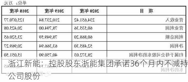 浙江新能：控股股东浙能集团承诺36个月内不减持公司股份