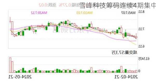 雪峰科技筹码连续4期集中