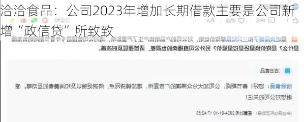 洽洽食品：公司2023年增加长期借款主要是公司新增“政信贷”所致致