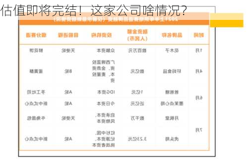 估值即将完结！这家公司啥情况？