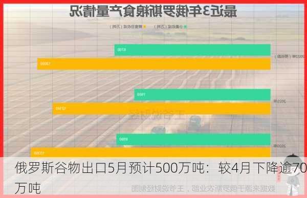 俄罗斯谷物出口5月预计500万吨：较4月下降逾70万吨