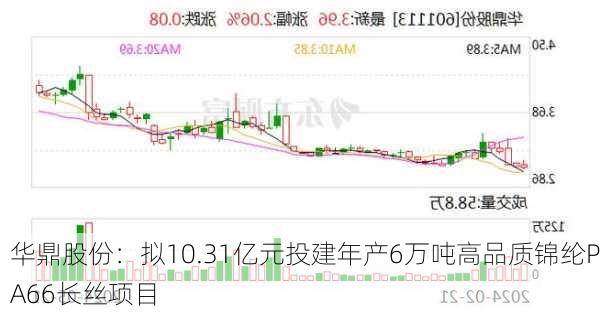 华鼎股份：拟10.31亿元投建年产6万吨高品质锦纶PA66长丝项目