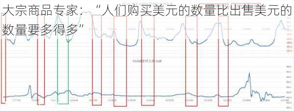 大宗商品专家：“人们购买美元的数量比出售美元的数量要多得多”