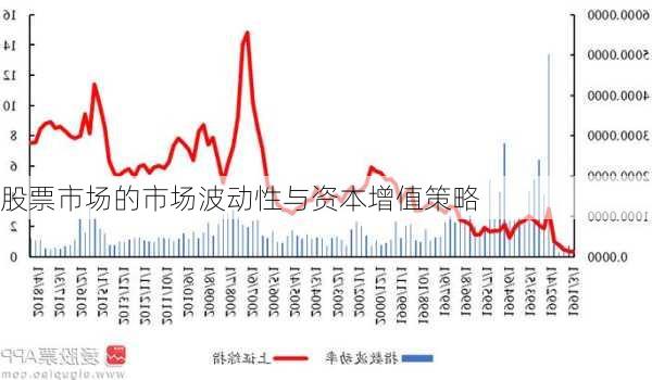 股票市场的市场波动性与资本增值策略