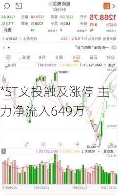 *ST文投触及涨停 主力净流入649万