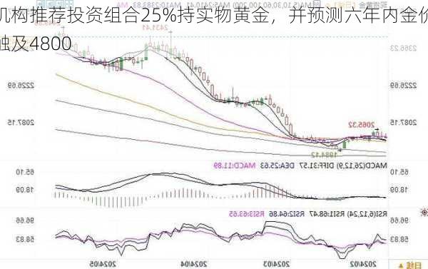 机构推荐投资组合25%持实物黄金，并预测六年内金价触及4800