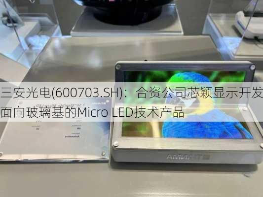 三安光电(600703.SH)：合资公司芯颖显示开发面向玻璃基的Micro LED技术产品