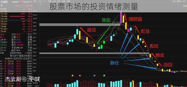 股票市场的投资情绪测量