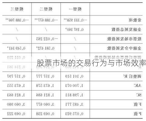 股票市场的交易行为与市场效率