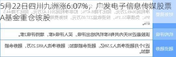 5月22日四川九洲涨6.07%，广发电子信息传媒股票A基金重仓该股