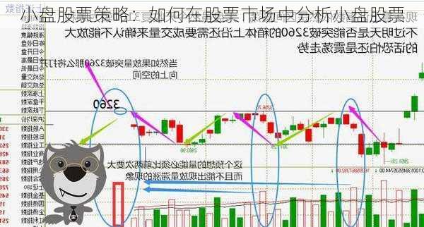 小盘股票策略：如何在股票市场中分析小盘股票