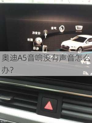 奥迪A5音响没有声音怎么办？