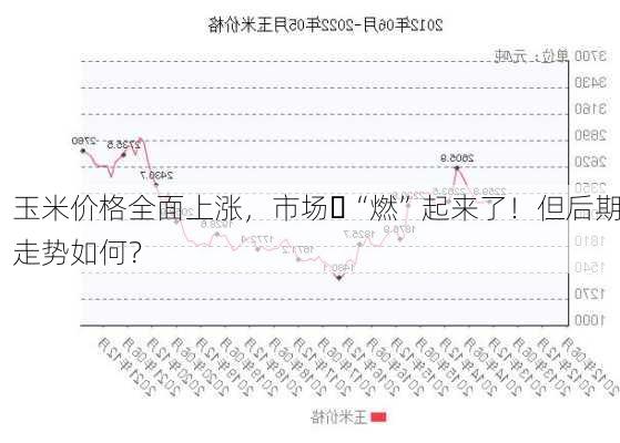 玉米价格全面上涨，市场 “燃”起来了！但后期走势如何？