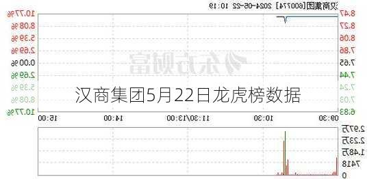 汉商集团5月22日龙虎榜数据