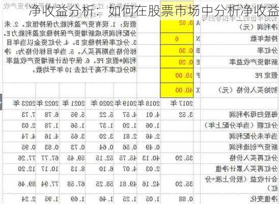 净收益分析：如何在股票市场中分析净收益