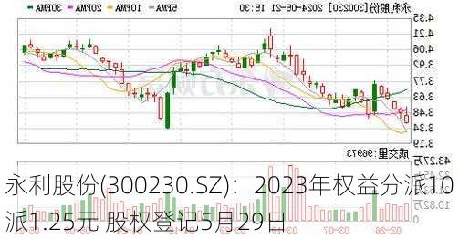 永利股份(300230.SZ)：2023年权益分派10派1.25元 股权登记5月29日