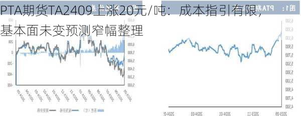 PTA期货TA2409上涨20元/吨：成本指引有限，基本面未变预测窄幅整理