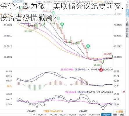 金价先跌为敬！美联储会议纪要前夜，投资者恐慌撤离？