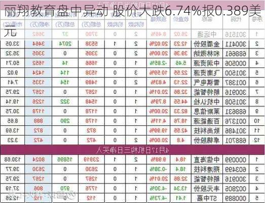 丽翔教育盘中异动 股价大跌6.74%报0.389美元