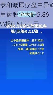 泰和诚医疗盘中异动 早盘股价大跌5.86%报0.612美元