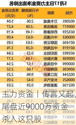 主力资金丨传言又起，尾盘近9000万资金杀入这只股