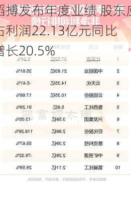 滔搏发布年度业绩 股东应占利润22.13亿元同比增长20.5%