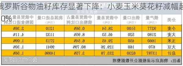 俄罗斯谷物油籽库存显著下降：小麦玉米葵花籽减幅超10%