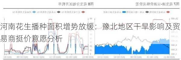 河南花生播种面积增势放缓：豫北地区干旱影响及贸易商挺价意愿分析