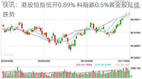 快讯：港股恒指低开0.89% 科指跌0.5%黄金股延续跌势