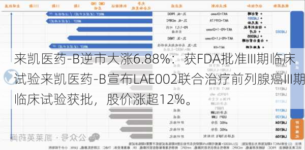 来凯医药-B逆市大涨6.88%：获FDA批准III期临床试验来凯医药-B宣布LAE002联合治疗前列腺癌III期临床试验获批，股价涨超12%。