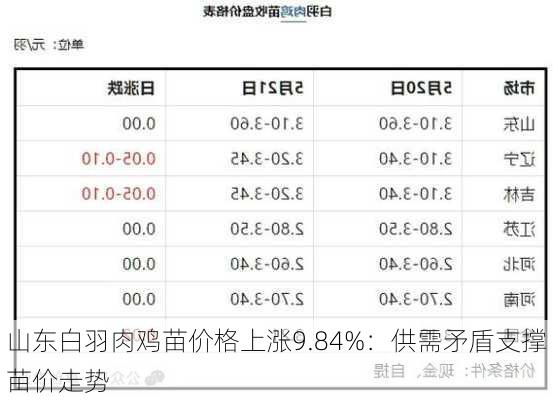 山东白羽肉鸡苗价格上涨9.84%：供需矛盾支撑苗价走势