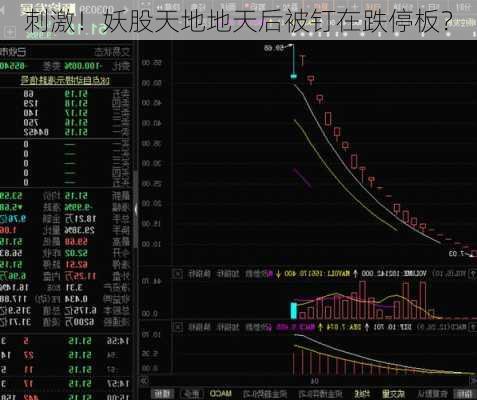 刺激！妖股天地地天后被钉在跌停板？