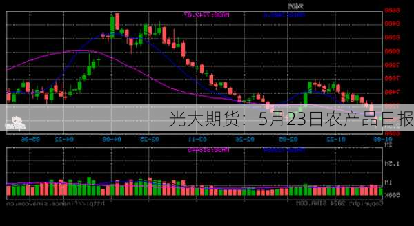 光大期货：5月23日农产品日报