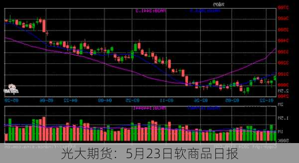 光大期货：5月23日软商品日报