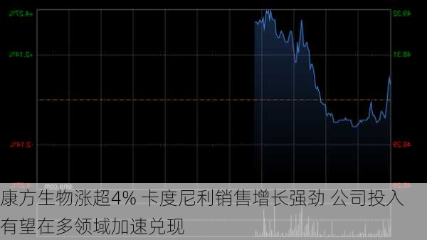 康方生物涨超4% 卡度尼利销售增长强劲 公司投入有望在多领域加速兑现