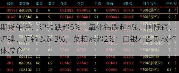 期货午评：沪银跌超5%，氧化铝跌超4%，国际铜、沪镍、沪铜跌超3%，菜粕涨超2%；白银看跌期权整体减仓