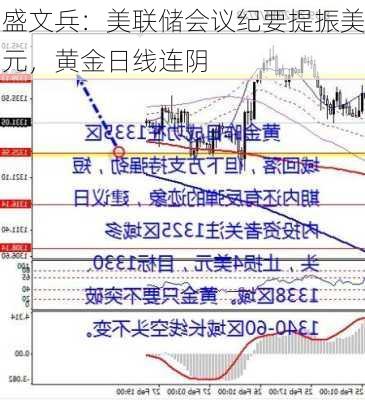 盛文兵：美联储会议纪要提振美元，黄金日线连阴