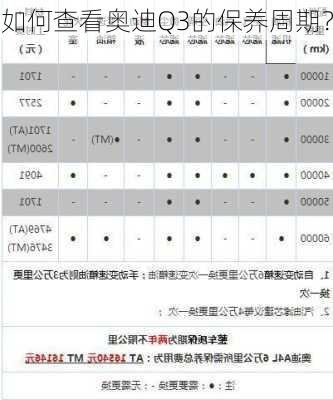 如何查看奥迪Q3的保养周期？