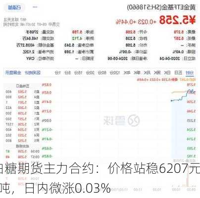 白糖期货主力合约：价格站稳6207元/吨，日内微涨0.03%