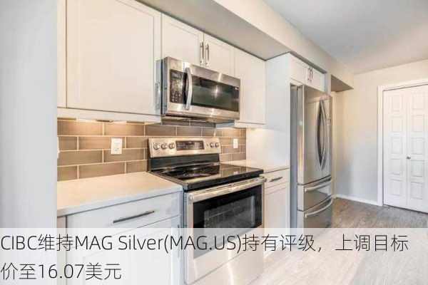 CIBC维持MAG Silver(MAG.US)持有评级，上调目标价至16.07美元