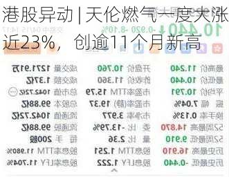 港股异动 | 天伦燃气一度大涨近23%，创逾11个月新高