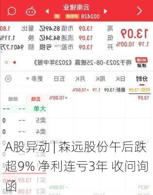 A股异动 | 森远股份午后跌超9% 净利连亏3年 收问询函