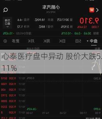 心泰医疗盘中异动 股价大跌5.11%